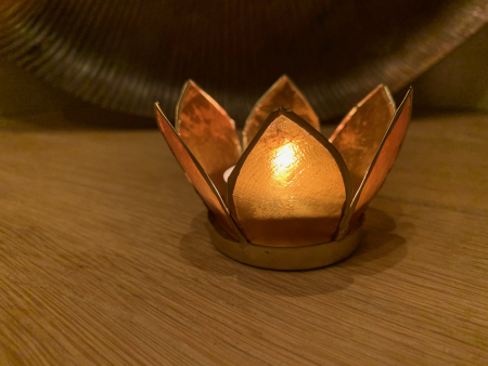Lotus bloem